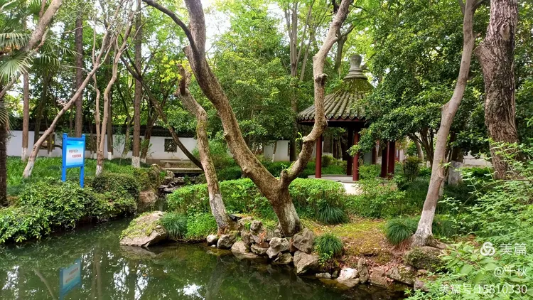 课读之余不忘耕植——课植园